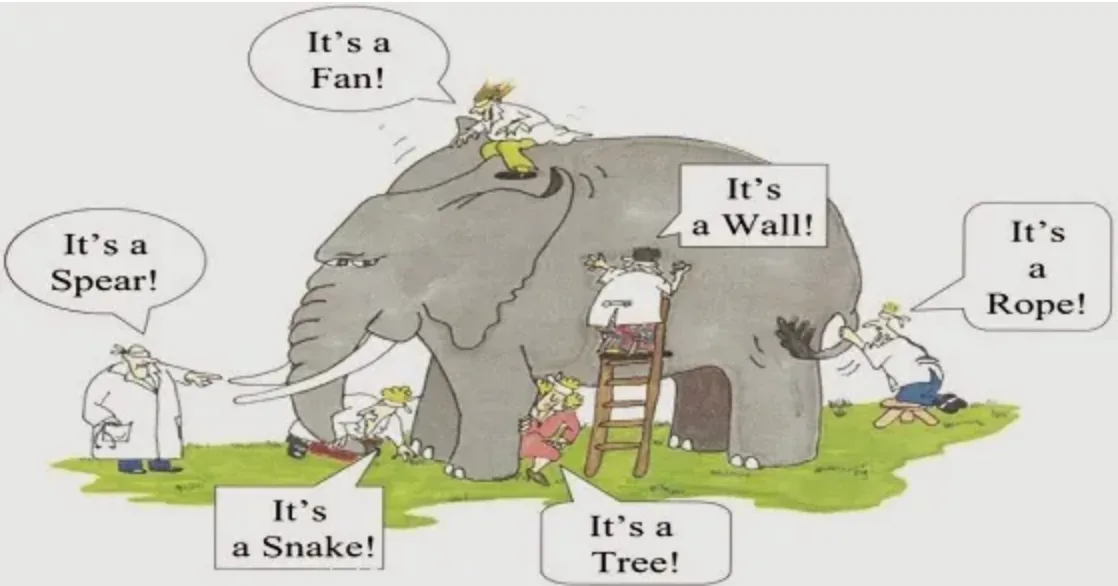 Blind men and the elephant cartoon: six people touching different parts of an elephant declare it a fan, spear, snake, tree, wall, or rope.